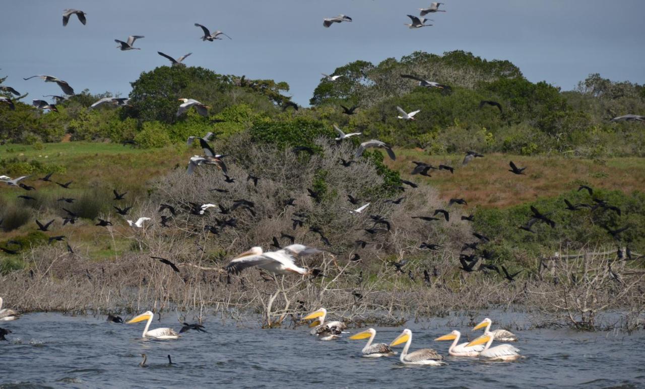 De Hoop Collection - Vlei Cottages De Hoop Nature Reserve Exterior photo
